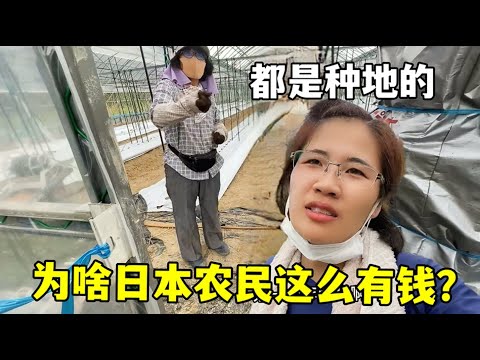 中国代表团,荣获亚冬会,自由式滑雪,澳客,澳客网,okooo,okooo澳客网官网