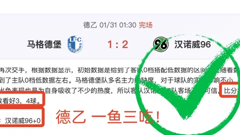 揭秘对决：奇才激战雄鹿，NBA巅峰对决数据解码！